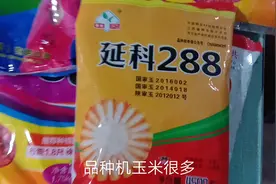 陕西干旱已久，一场及时雨终于从天而降，农民种玉米又有希望了！视频封面