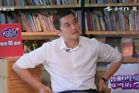 鲁豫有约：李亚鹏时隔多年再提离婚眼含泪光，暗示王菲主动提分手视频封面