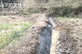 烂泥加水泥做的塘界，质量还可以，大家可以学习下！