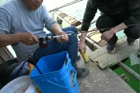 筏钓高手现场教学筏钓大鱼，一看即会，超简单视频封面