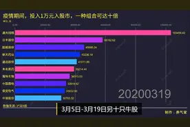 疫情期间A股过山车行情，却能走出十倍收益，看看是哪些组合视频封面