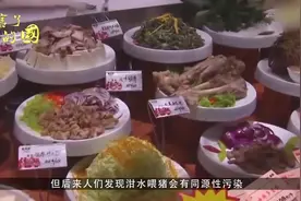 中国最恐怖工厂，居然养了60亿只蟑螂，它们都有什么作用？视频封面