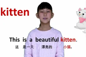 动物篇kitten小猫 牛津初高中小学少儿童英语单词和例句子 常荣