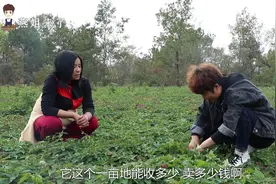 涨知识了，原来何首乌种起来这么简单，一亩地卖五千块，一年50万视频封面