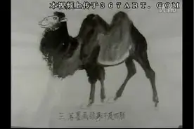 画骆驼的步骤