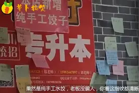 纯手工饺子，老板没骗人，饺子上指纹我都清晰可见视频封面