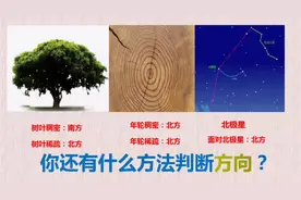 迷路了，没有手机导航，你怎么辨别方向呢视频封面