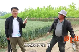 白芦笋和青芦笋有啥不一样？农村大叔为你解答视频封面