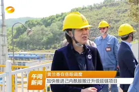 黄兰香在岳阳调度 加快推进己内酰胺搬迁升级延链项目