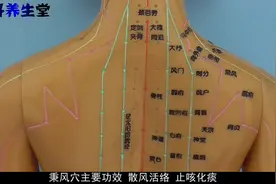 秉风穴功效散风活络 止咳化痰主治疾病肩背疼痛 咳喘 肩胛痛