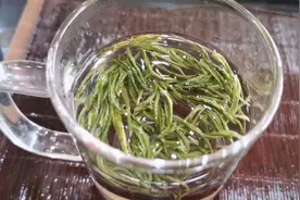 安吉白茶是绿茶不是白茶，好多人喝错了，现场泡一杯给大家做讲解视频封面