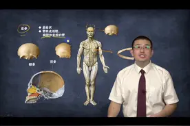 【医考公开课】骨学基础精讲-骨的分类