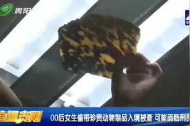 00后女生偷带珍贵动物制品入境，亲戚让带的？还不认识？