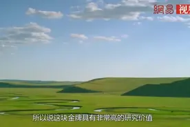 内蒙小伙钓鱼时收获辽国金牌，专家劝其上交，他却直接熔成金镯子视频封面