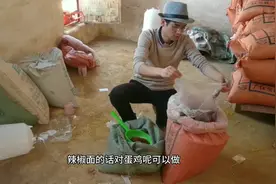 养鸡秘诀：给蛋鸡喂辣椒面能够提高产蛋率，养殖蛋鸡的朋友要多用