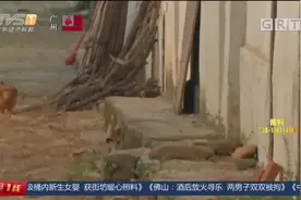 一线独家调查：清远英德 多处新农村建设工程烂尾 有的停工一年视频封面