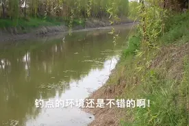 野钓：都说东北风好钓鱼，今天就来试试看，希望理论是对的？视频封面