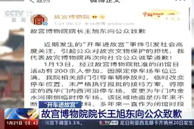 故宫院长王旭东就“开车进故宫” 致歉：副院长及保卫处长被停职视频封面