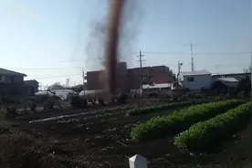 日本田间突然出现小型“龙卷风”视频封面