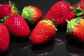 草莓的腐烂过程