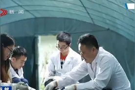 好消息！四川高职（专科）生入伍退役后可免试入读普通本科视频封面