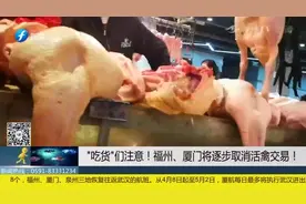 活禽交易按下暂停键！农贸市场禁止活禽进入，商户摊位干净整洁视频封面