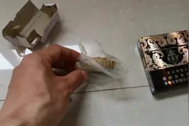 4月份的湖北蚊子多起来了，特意去买了一盒城里人没见过的熏蚊片视频封面