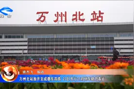 万州北站加开至成都东高铁 23日开行31对列车助力春运