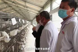 办一个肉鸽养殖场大概要投资多少？视频封面