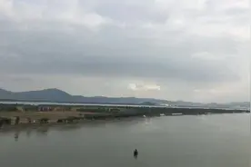 广东 江门  贝多芬病毒