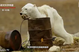 地球100年变化对比怵目惊心，2100年的地球真会变成这样吗？视频封面