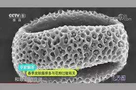 生活圈：一到春季皮肤瘙痒是怎么回事？专家讲解其原因，长知识了视频封面