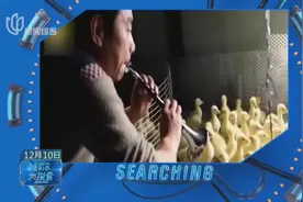 音乐疗法来养鹅！男子为鹅吹唢呐听摇滚还跳舞巡视，笑哭！