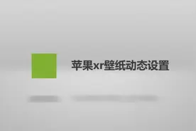 苹果xr壁纸动态怎么设置？别着急，我来帮你！