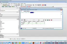 2018java300集后续课程：第100讲，PLSQL使用视频封面