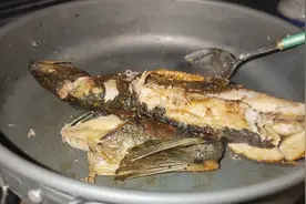 骑行聊城到莘县，在集市上买了条鱼8块钱太香了，买来试试视频封面