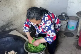 宝子妈做萝卜干炖菠菜，这老太太说她做菠菜从来都是整棵炖视频封面