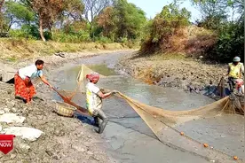 印度人口量巨大，但小河里鱼也很多，真搞不懂是吃什么繁殖下来的视频封面