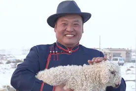 今天世界睡眠日，教大家一种科学数羊的办法，一口气数完3万只！视频封面