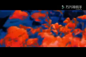 皮皮虾，我们走，原来皮皮虾的世界是这样子的