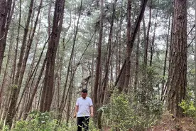 在森林里想拍伤感短视频，试试几个小技巧，你也能拍大片