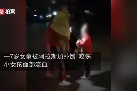阿拉斯加犬发狂咬伤7岁女童面部,宜宾警方：属禁养犬，将依法处置视频封面
