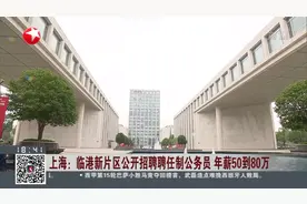 年薪50到80万！上海临港新片区公开招聘聘任制公务员视频封面