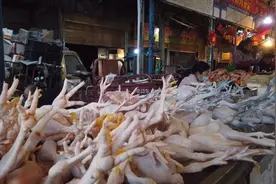 疫情期间，小伙去生鲜市场买新鲜鸡爪，看看批发价多少钱一斤？视频封面