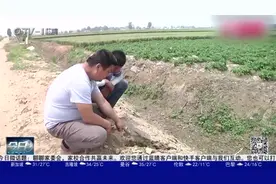 惠农项目建了又拆，村民们大惑不解！谁来为随意决策买单？视频封面