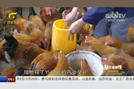 贺州积极落实产业“以奖代补”政策，助力贫困户早日脱贫致富视频封面