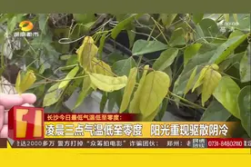 长沙气温惊现0度，这样情况会持续多久？来看权威专家怎么说视频封面