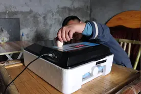 几千块钱买的孔雀，好不容易下蛋，孵化了居然这样不能接受