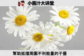 2020年属鼠的人，旺运招财吉祥色有哪些？