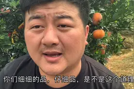 水果店金煌芒10块钱一斤，线上便宜的才6块，差距为什么这么大？视频封面